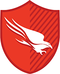 CrowdStrike Falcon Enterprise