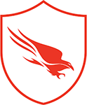 CrowdStrike Falcon Pro